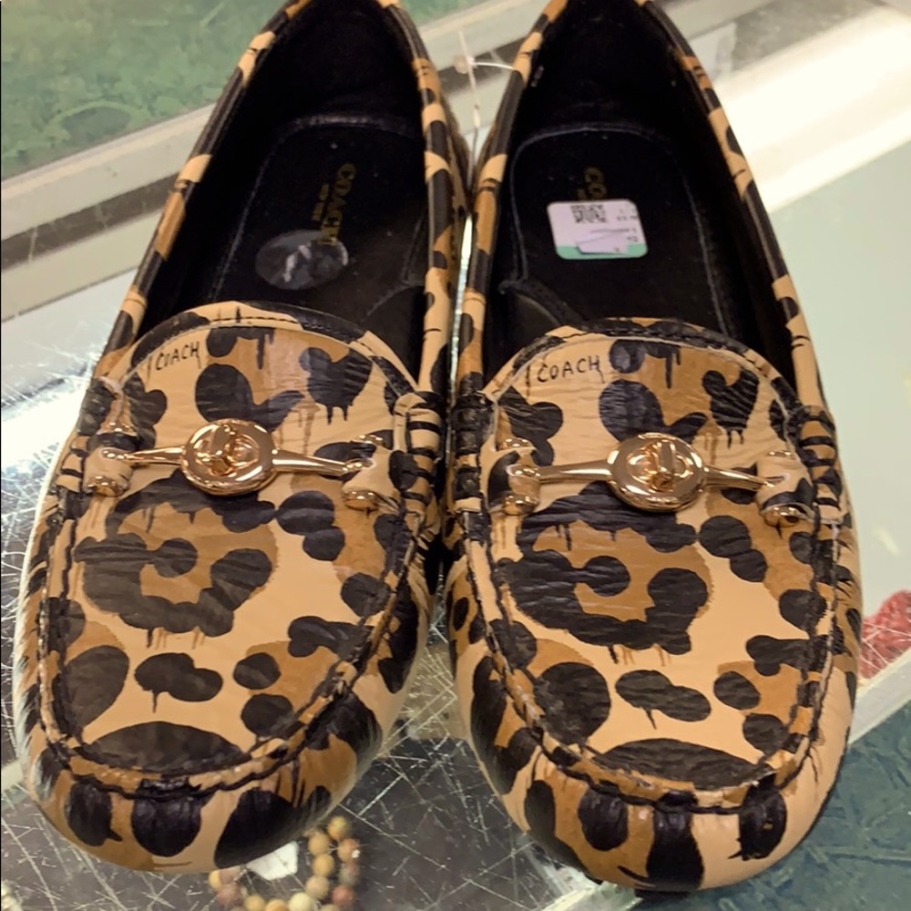 Coach shoes